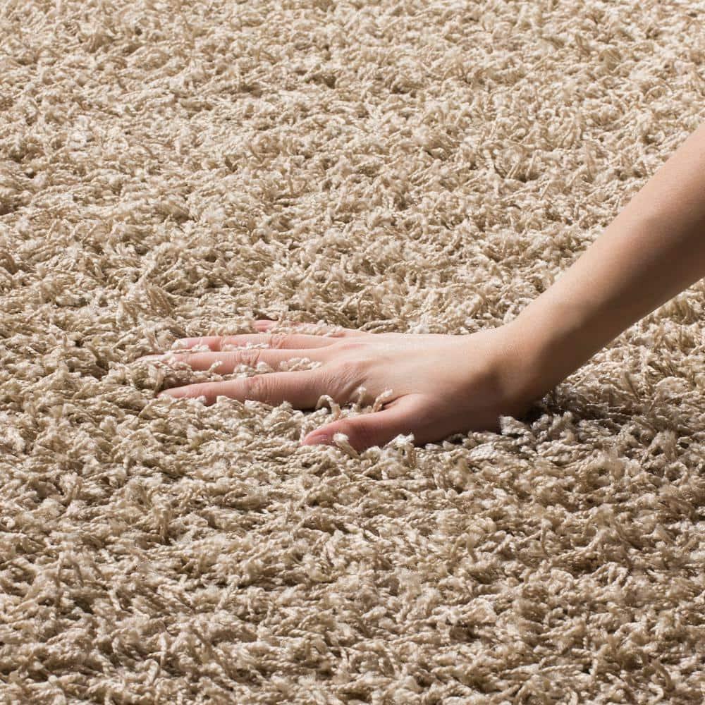 Gracie Oaks Atwell Sga-Athens Shag Performance Solid Color Rug