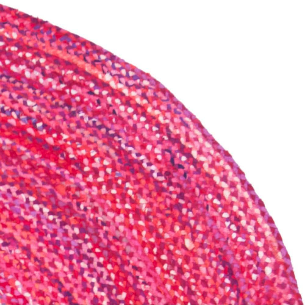 Braided BRD452 Hand Woven Indoor Area Rug - Pink/Fuchsia - 6' Round - Safavieh
