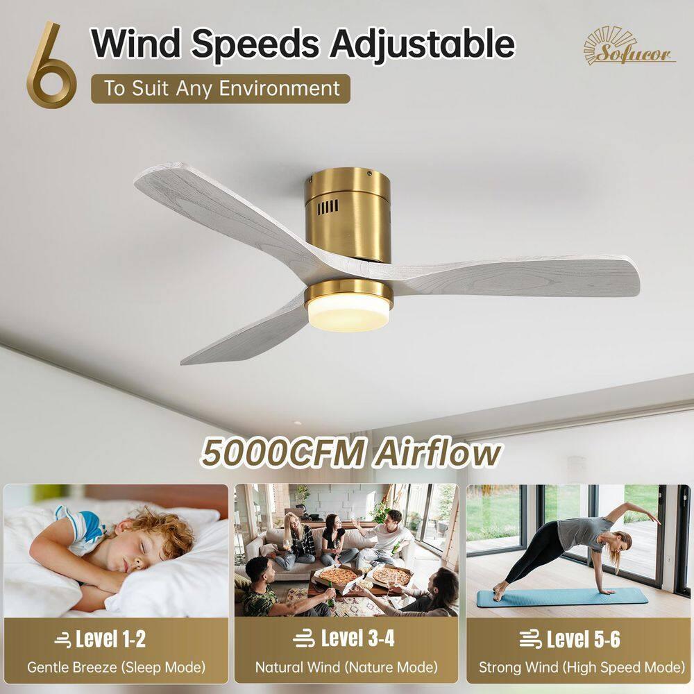 52" Modern Ceiling Fan without Light, Remote Control and Reversible DC Motor Included White with Light Wood-grain