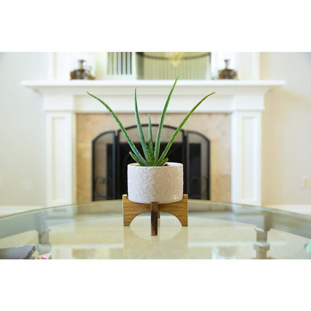 Flora Bunda Mid Century 5 inch India Ceramic Planter on Wood Stand,Glass Pink