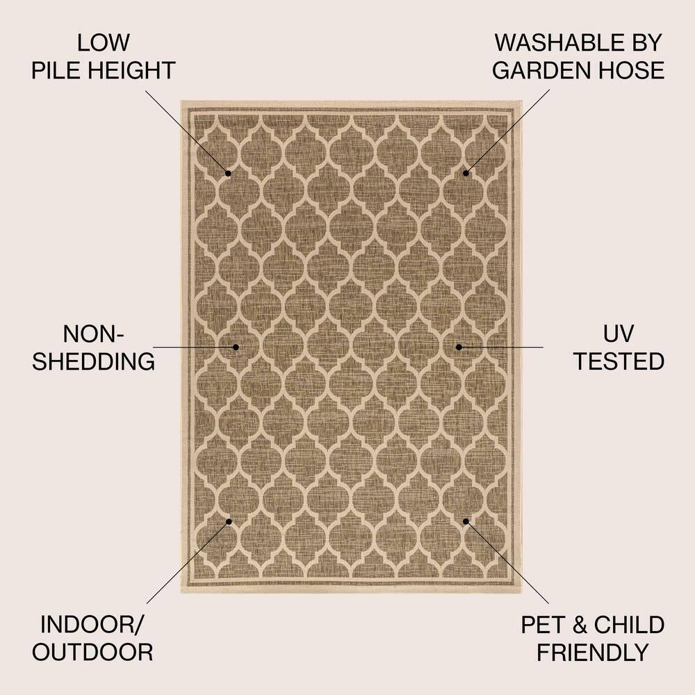 8'x10' Trebol Moroccan Trellis Textured Weave Indoor/Outdoor Area Rug, Brown/Beige - JONATHAN Y