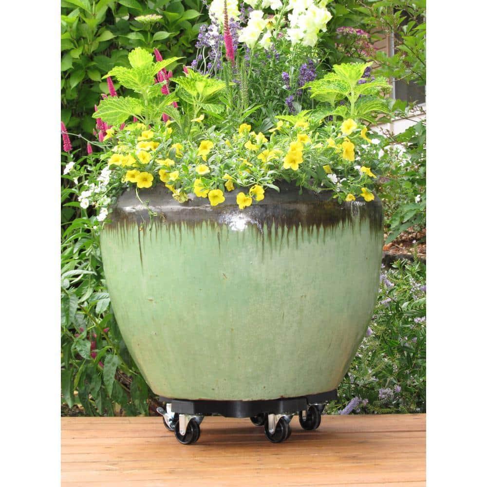 Plantstand Caddy Plant Stand