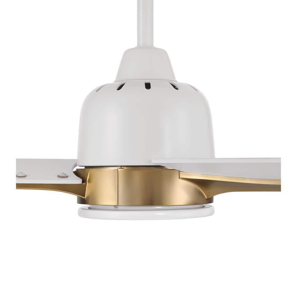 Latitude Run® Eiladh 52" Ceiling Fan with LED Lights & Wall Control