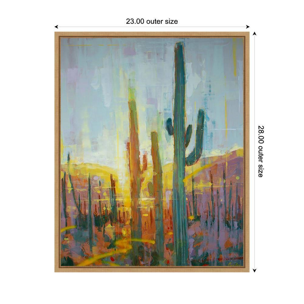 Amanti Art 23"x28" Sonoran Golden Glow by James Ayers Framed Canvas Wall Art Print