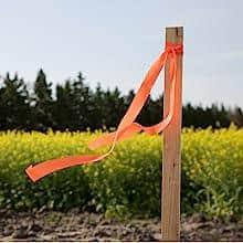 Greenes Fence 6 Foot Long Wooden Garden Stake, 25-Pack