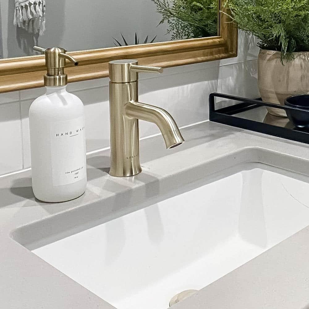 Lulani Aruba Single Hole Bathroom Faucet with Drain Assembly
