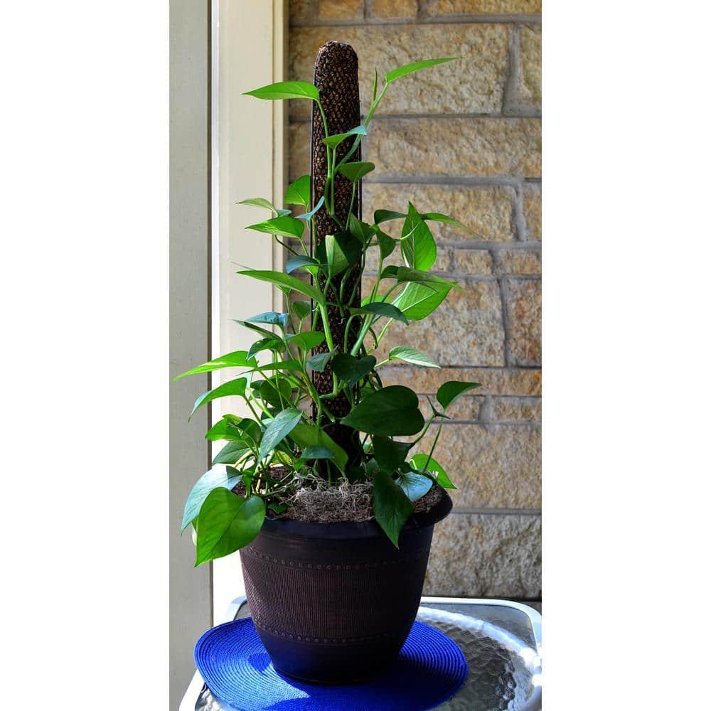 30" Brown Metal Totem Pole Plant Support