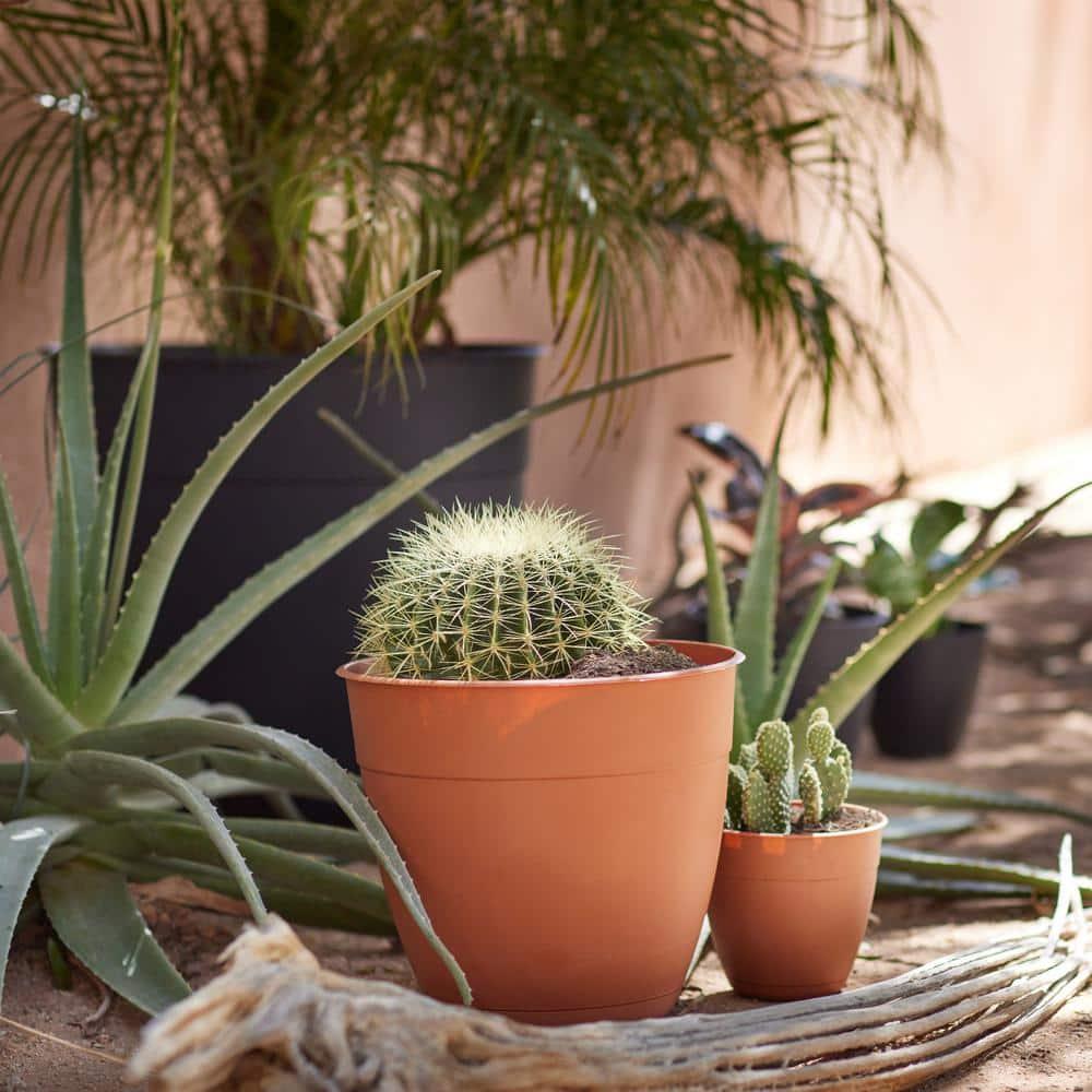 Bloem Dayton Planter With Saucer: 12" - Terra Cotta - 100% Recycled Plastic Pot, Removable Saucer, Elevated Feet, For Indoor and Outdoor Use, Gardening, 3 Gallon Capacity