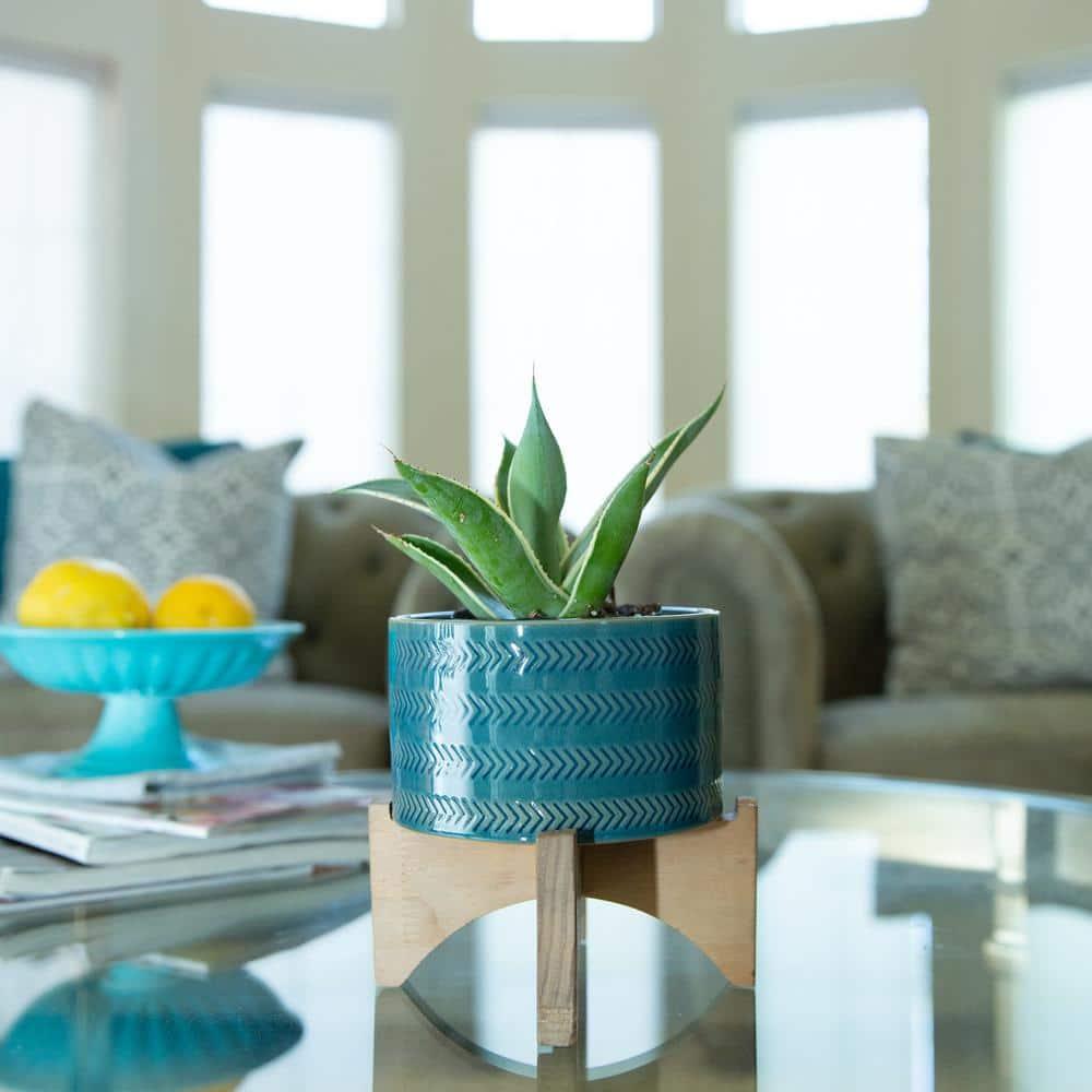 5' Arrow Ceramic Planter on Wood Stand,Glass Teal