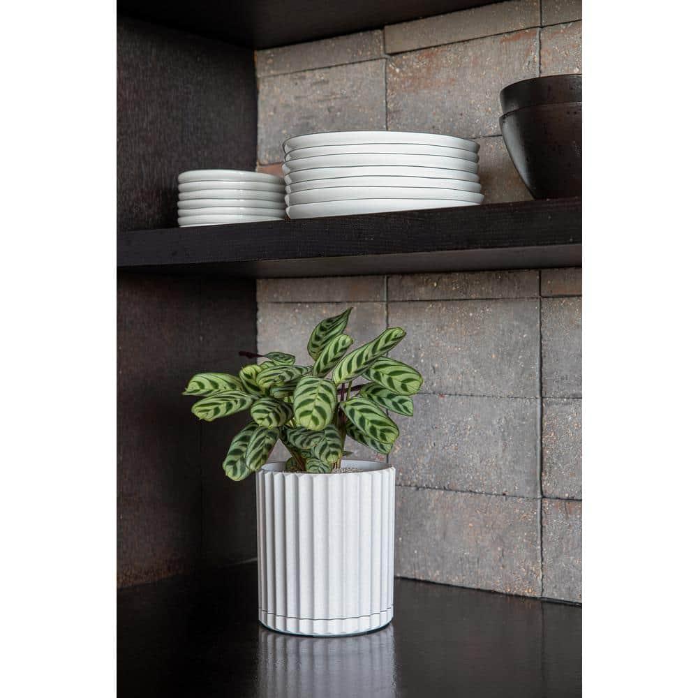 Veradek Mason Series Demi 6" Plastic-Stone Planter - White