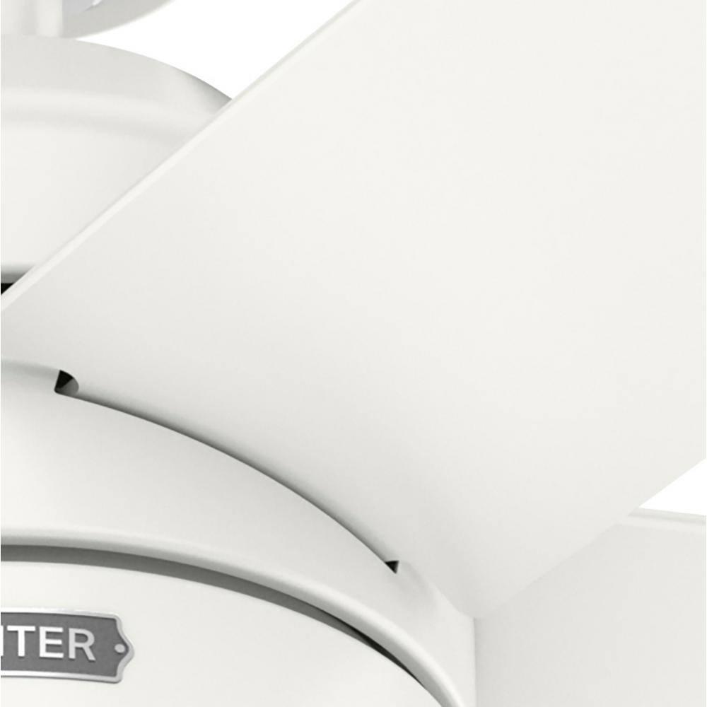 Bardot 52" 5 - Blade Ceiling Fan With Lights and Pull Chains