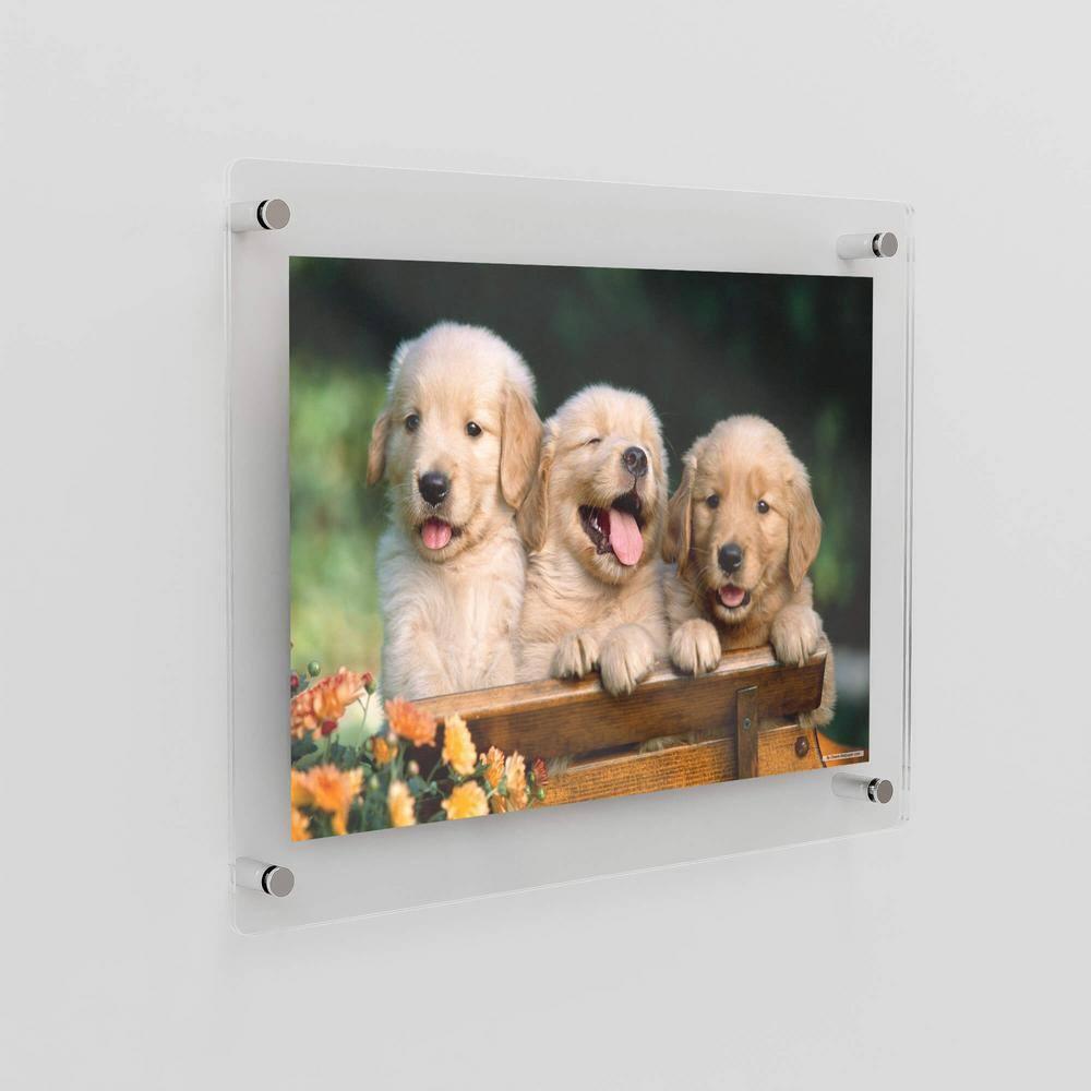 23 in. W. x 33 in. Rectangular Double Acrylic Picture Frame Chrome Wall Mounted Magnet Best 20 in. W. x 30 in. Art Size