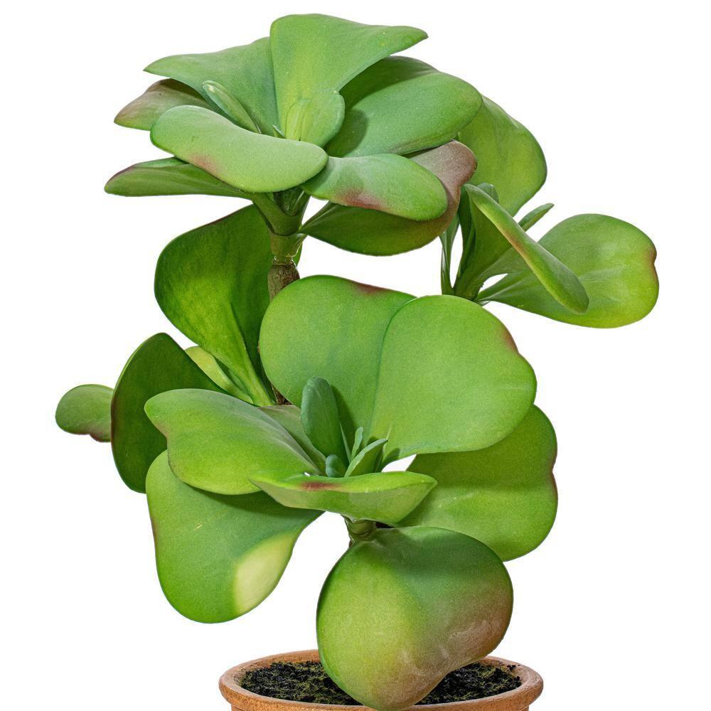 Primrue 14'' Faux Succulent Plant in Pot