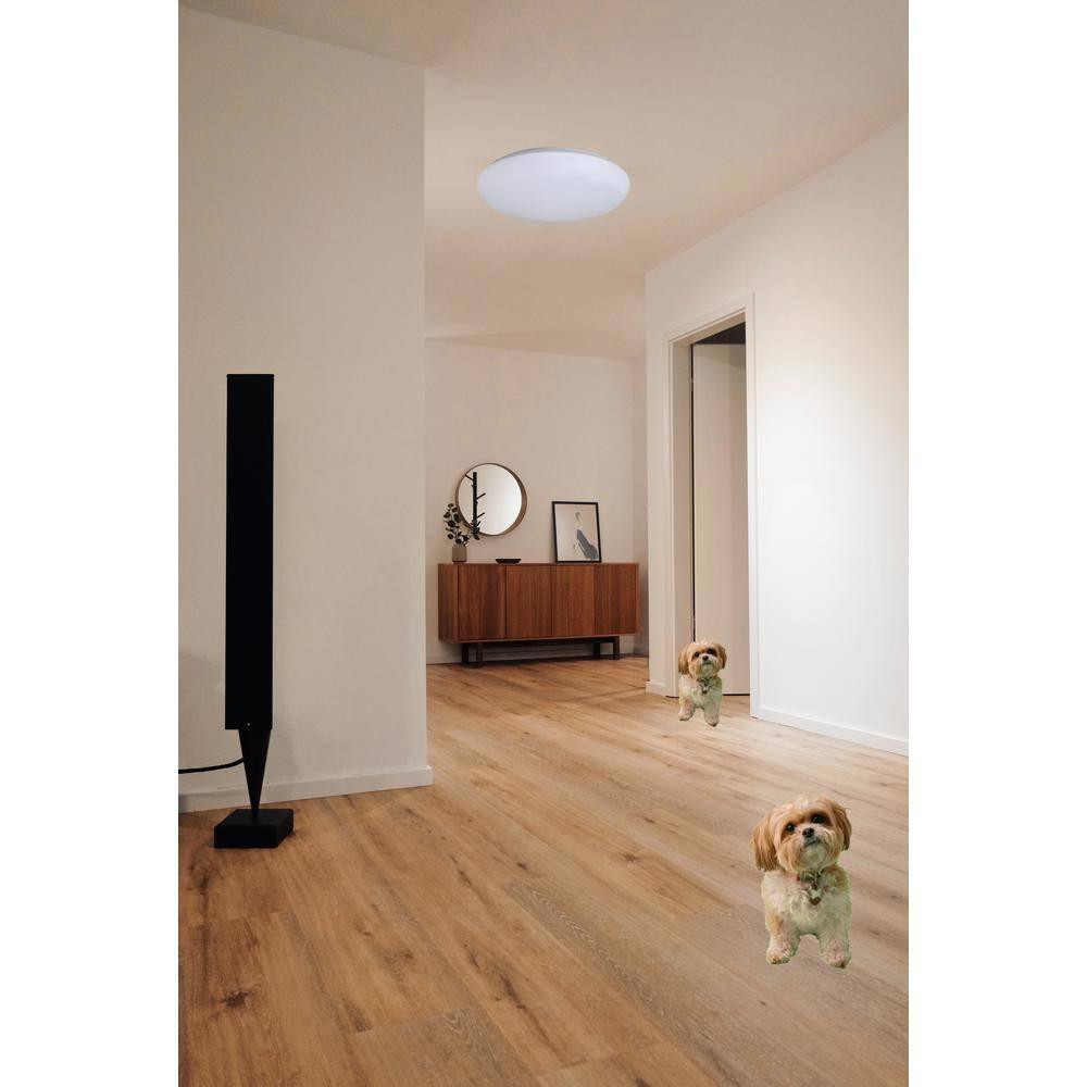 Amax Lighitng, Inc. Amax Lighting 35W LED shallow cloud fixture in White Finish Off White