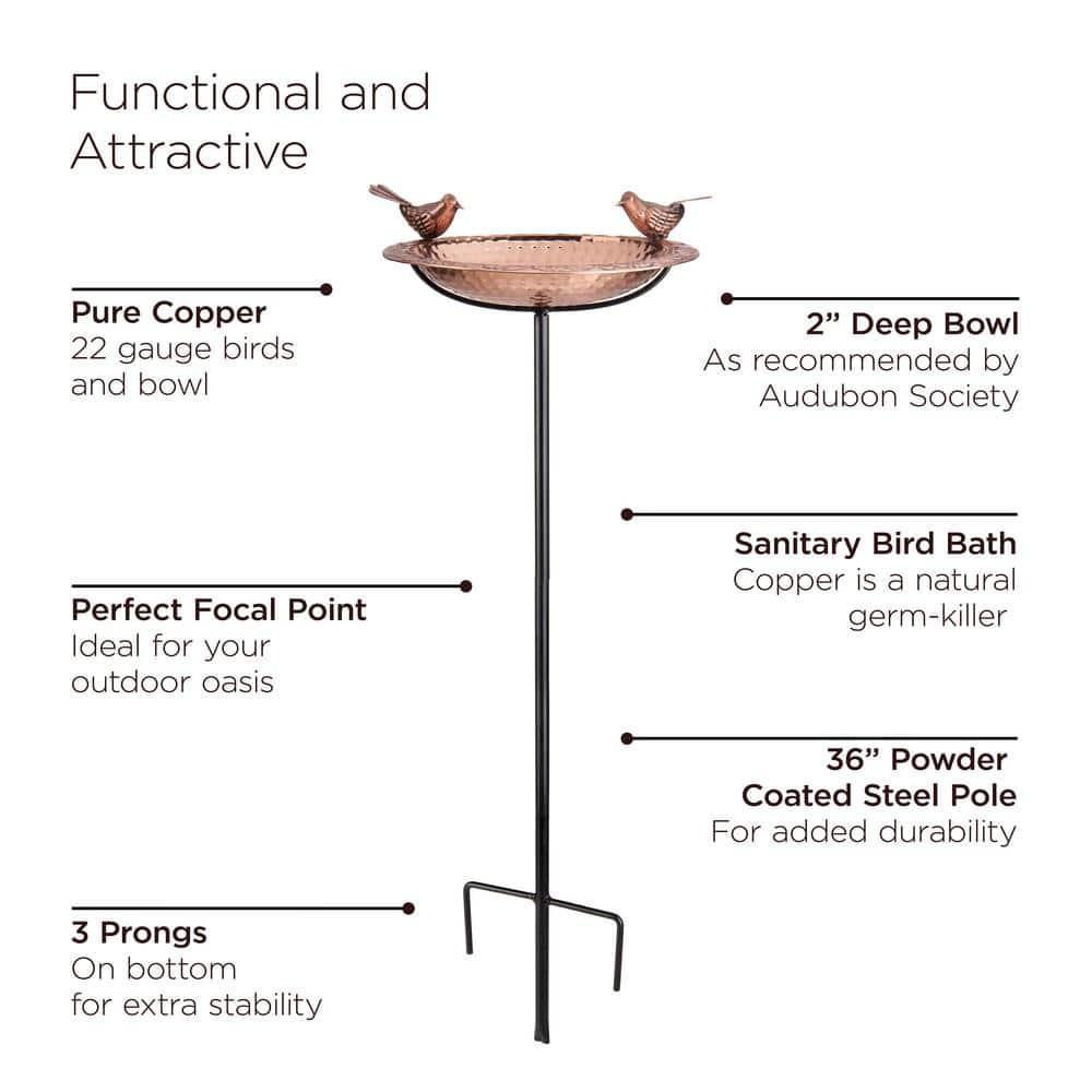 House of Hampton® Dowski Copper Single Tier Birdbath