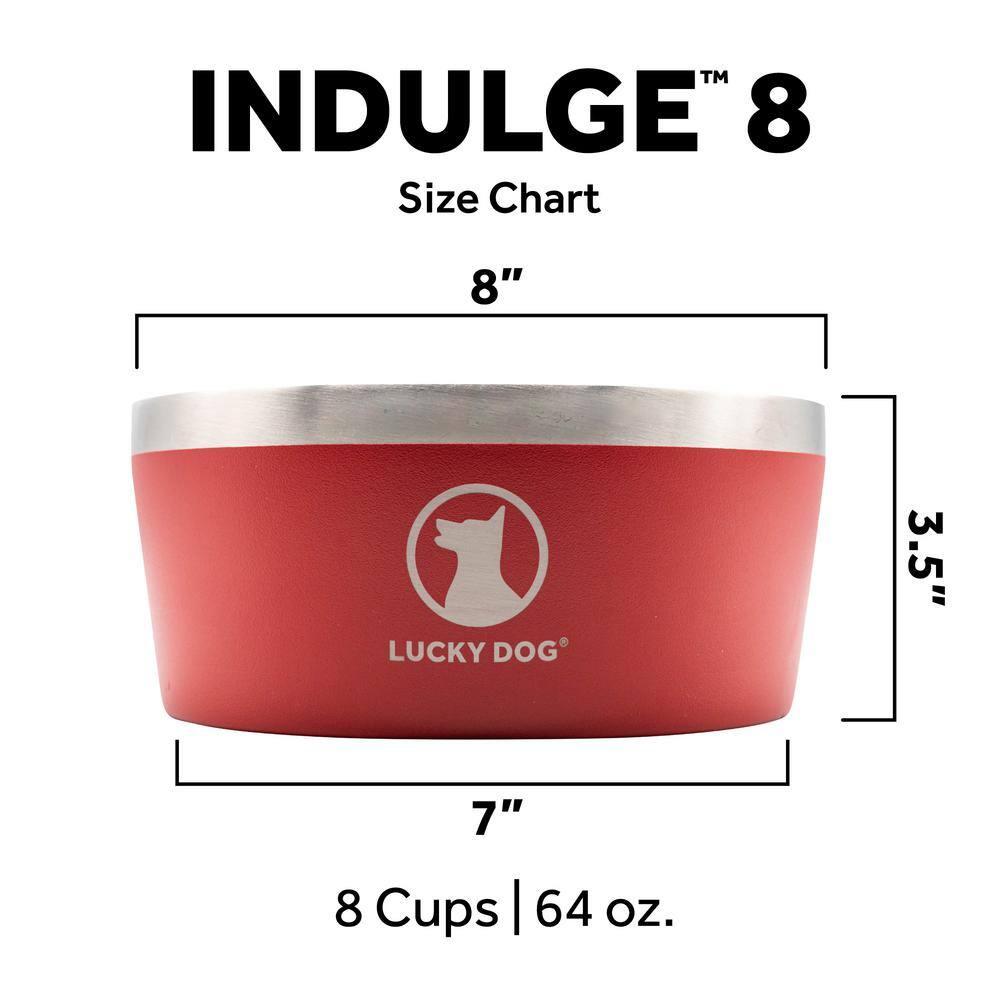 Lucky Dog INDULGE 8 Double Wall Stainless Steel Dog Bowl & Reviews | Wayfair