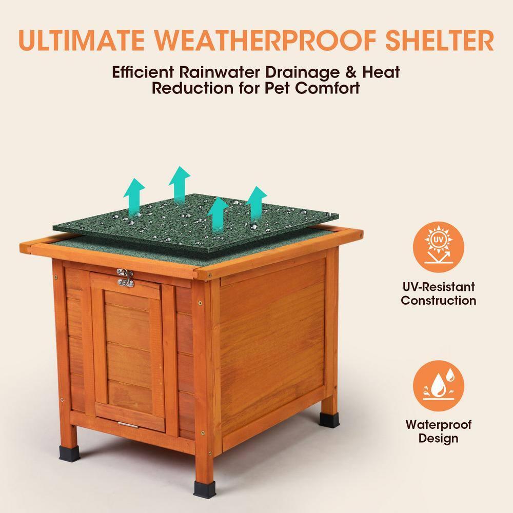 Small Wood Rabbit Hutch Bunny Cage, Raised Cat House with Ladder for Small Animals, Orange