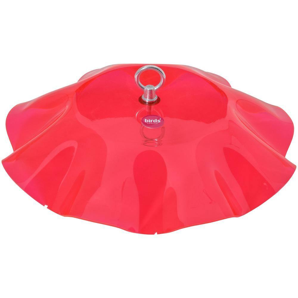 Birds Choice Birds Choice 13" Color Pop Collection Acrylic Bird Feeder Scalloped Weather guard