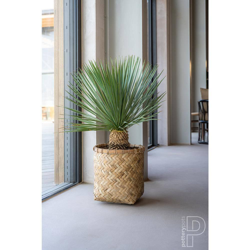 Pottery Pots USA Inc. Pottery Pots Zayn Bamboo Indoor Outdoor Round Planter, Natural Finish 18.9" x 18.9" x 20.9"
