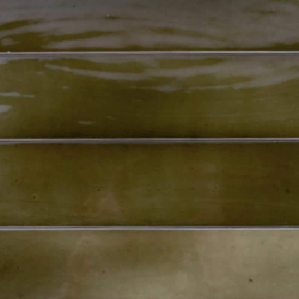 2.56'' W x 15.75'' L Ceramic Subway Singular Tile