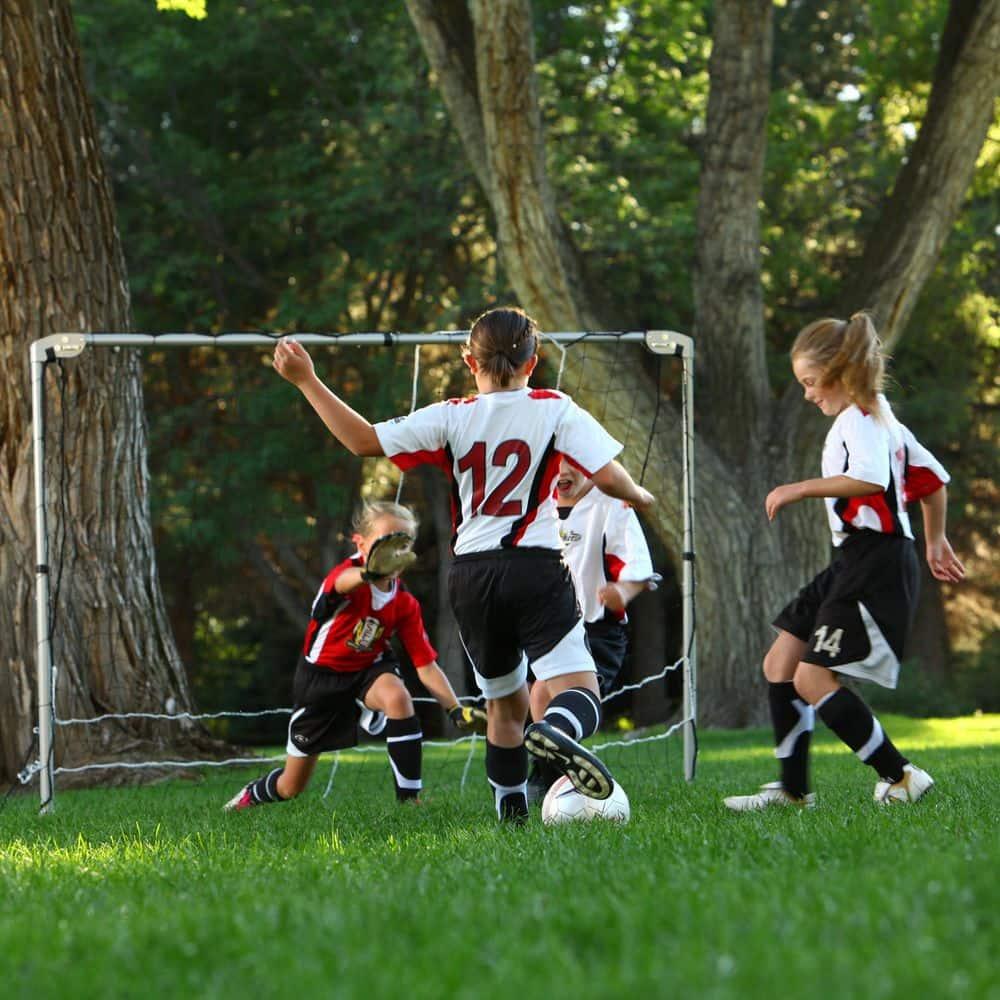 Lifetime New Adjustable Soccer Goal - 90046