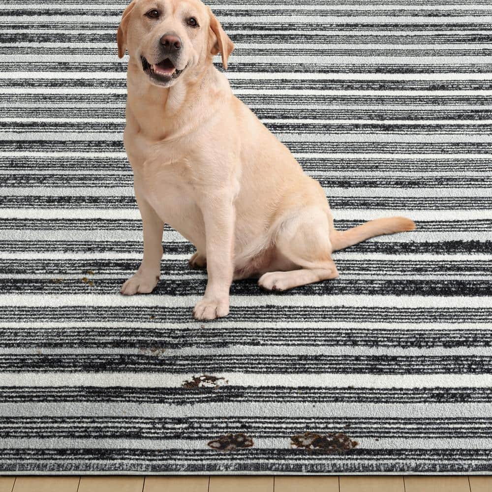 Everwash Treasure Striped Modern Machine Washable Area Rug, Light Grey/Charcoal Grey, 6'6"x9'2"