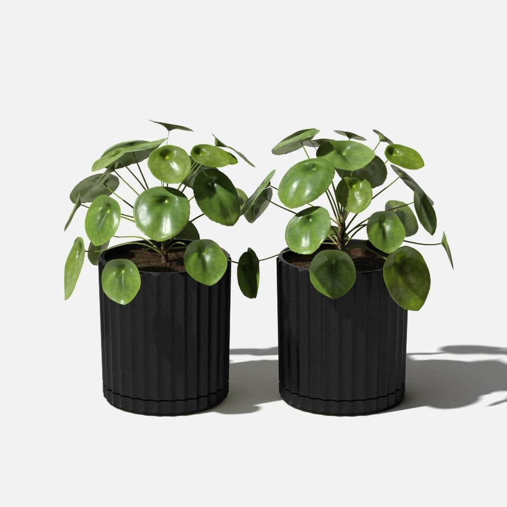 Veradek Mason Series Demi 6" Plastic-Stone Planter 2-Pack Black