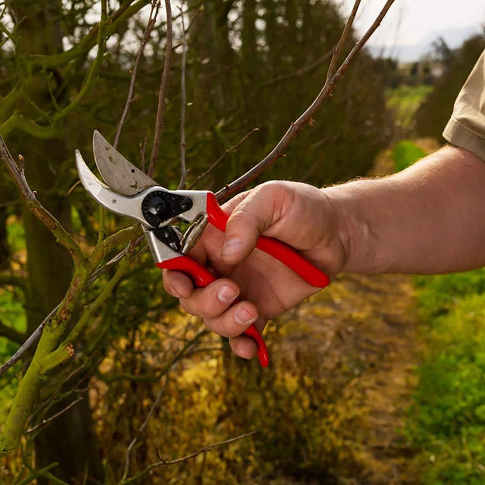 Felco F2 Standard Right Handed Pruning Shears, 8.5"