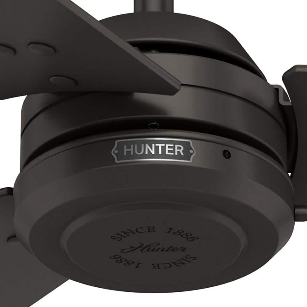 52" Cassius 3 - Blade Outdoor Standard Ceiling Fan with Pull Chain