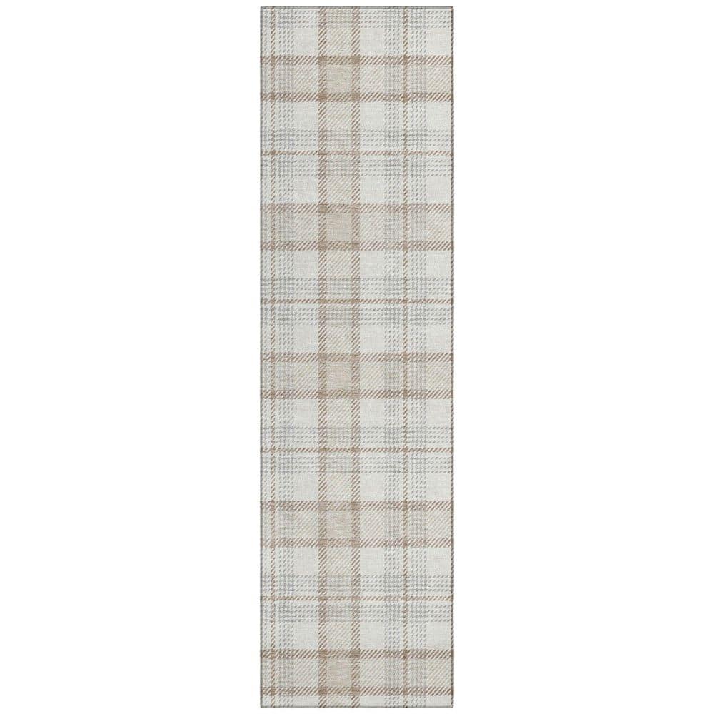 Machine Washable Indoor/Outdoor Chayden ACN1052 Rug