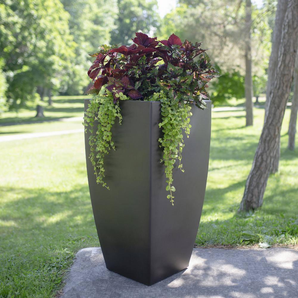 Mayne Inc. Vernamae  Resin Pot Planter With Water Reservoir