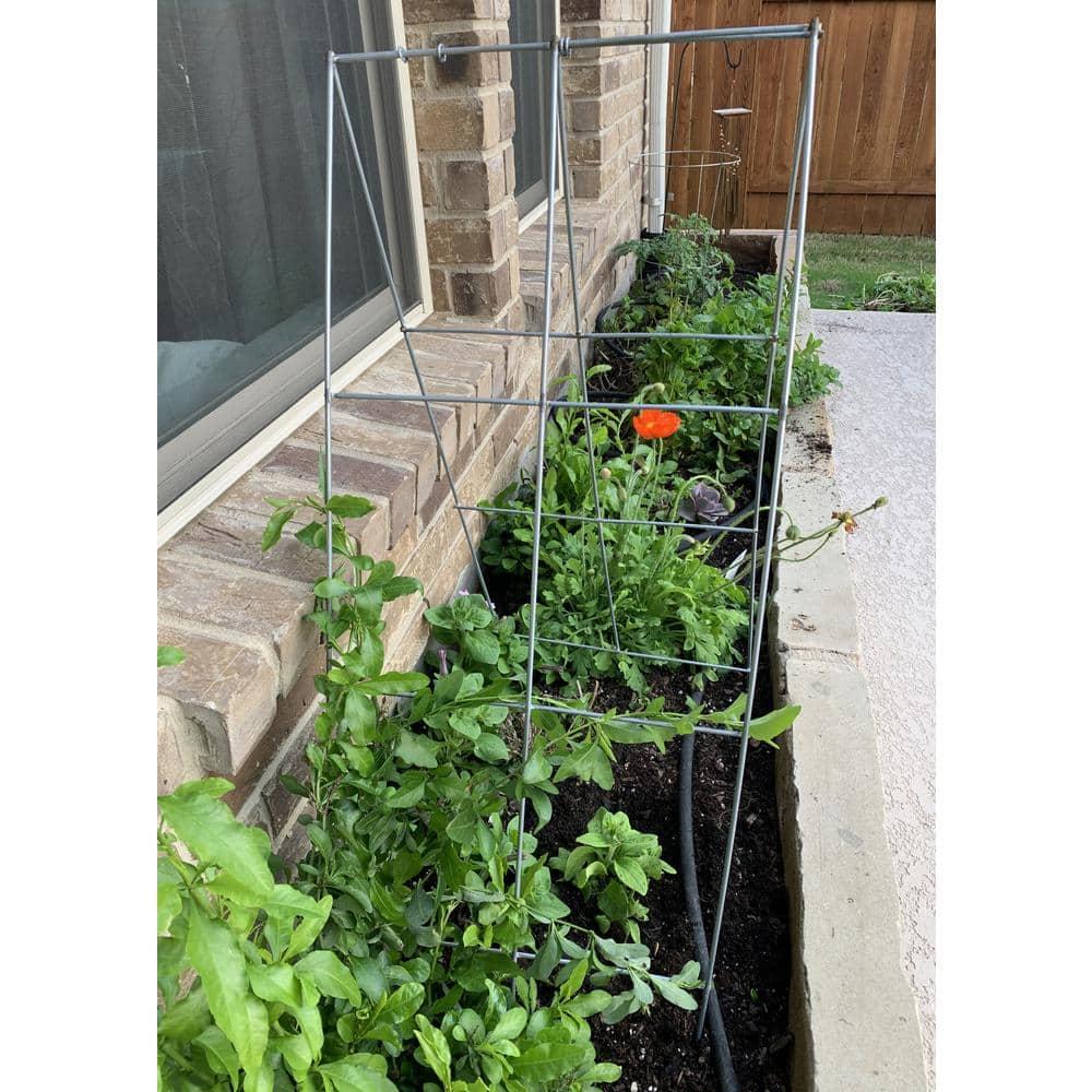 Glamos Wire 42 in. Steel A-Frame Vegetable and Plants Plant Support Grow Though Grid (5 Pack)