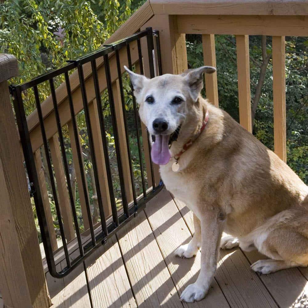 Cardinal Gates SS30OD Outdoor Baby & Pet Gate for Stairs