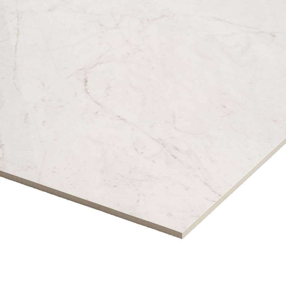 24" x 24" Polished Marble Look Porcelain Floor and Wall Tile (15.5 Sq. Ft. / Case)