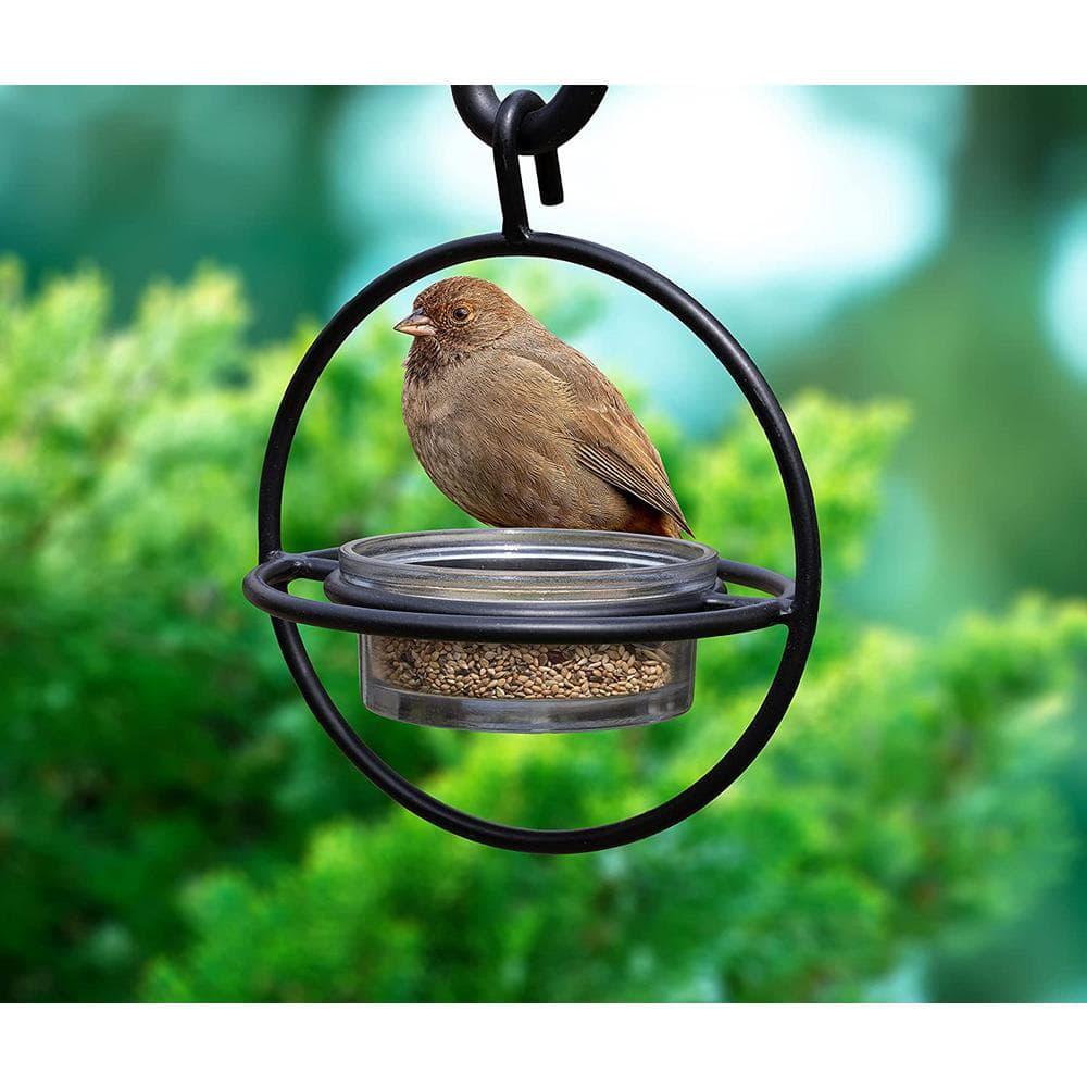 Monarch Abode Hanging Zazu Bird Feeder with Clear Glass Bowl, Perch, Outdoor Decor for Garden Backyard Patio