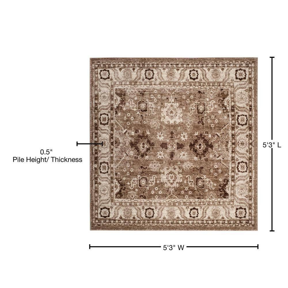 Vintage Hamadan VTH214 Power Loomed Indoor Area Rug - Taupe - 5'3"x5'3" - Safavieh.