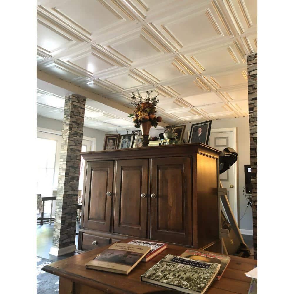 FromPlainToBeautifulInHours Economy Drop-In PVC Ceiling Tile (Set of 50)