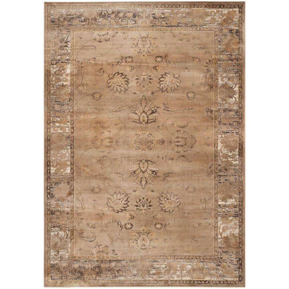 SAFAVIEH Vintage Jaxon Traditional Area Rug, Taupe, 8' x 10'
