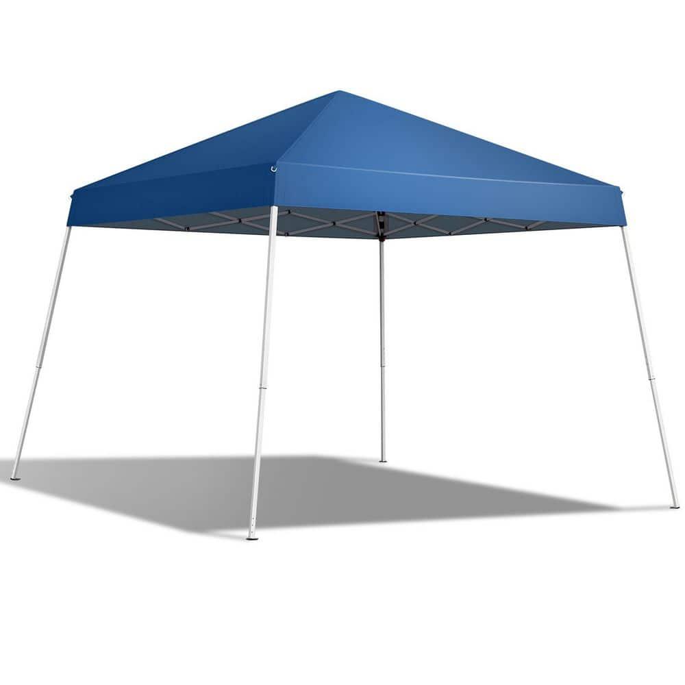 Winado 10 Ft. W x 10 Ft. D Steel Pop-Up Canopy