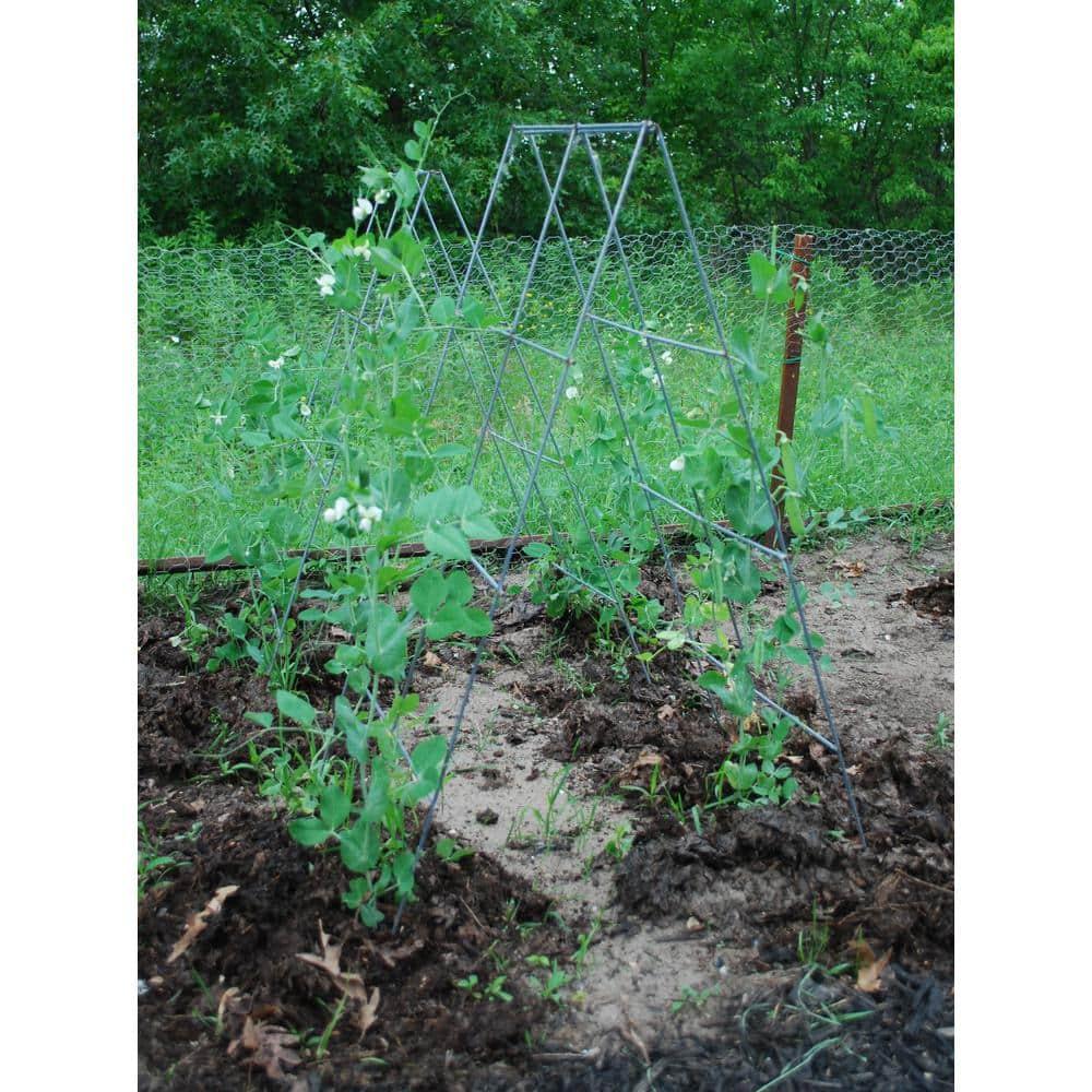 Glamos Wire 42 in. Steel A-Frame Vegetable and Plants Plant Support Grow Though Grid (5 Pack)