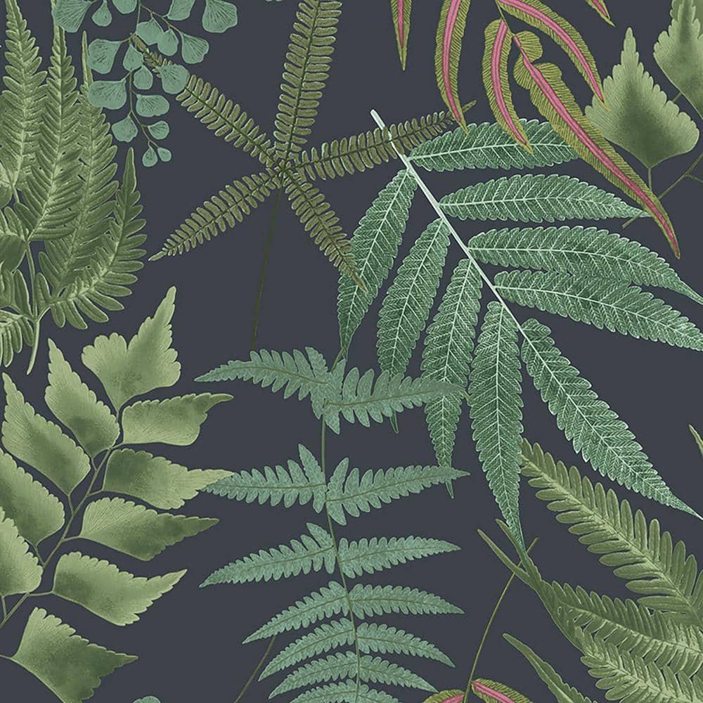 Midsummer Fern Navy Blue and Green Tropical Leaves Paste the Wall Wallpaper