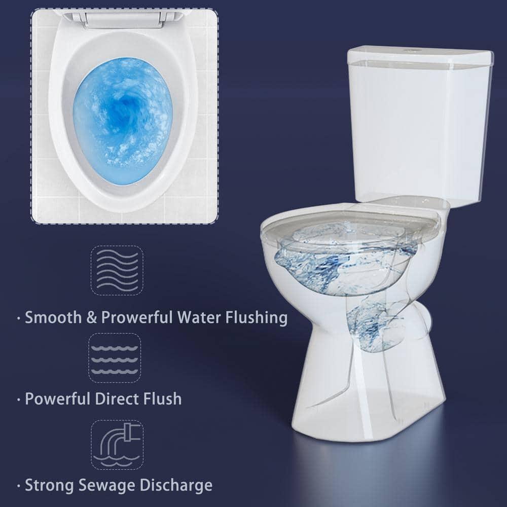 19 in. Tall Toilet 2-Piece 1.0/1.6 GPF Rear-Outlet Dual Flush Round Toilet in White,