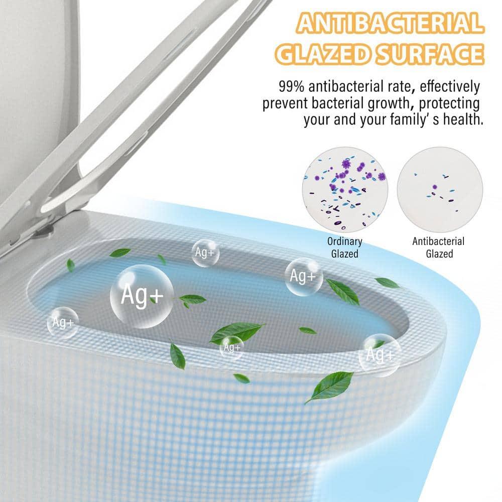 One-Piece Dual Flush 1.1/1.6 GPF Elongated Toilet Comfort Seat Height,Soft-Close Seat,Glazed Surface