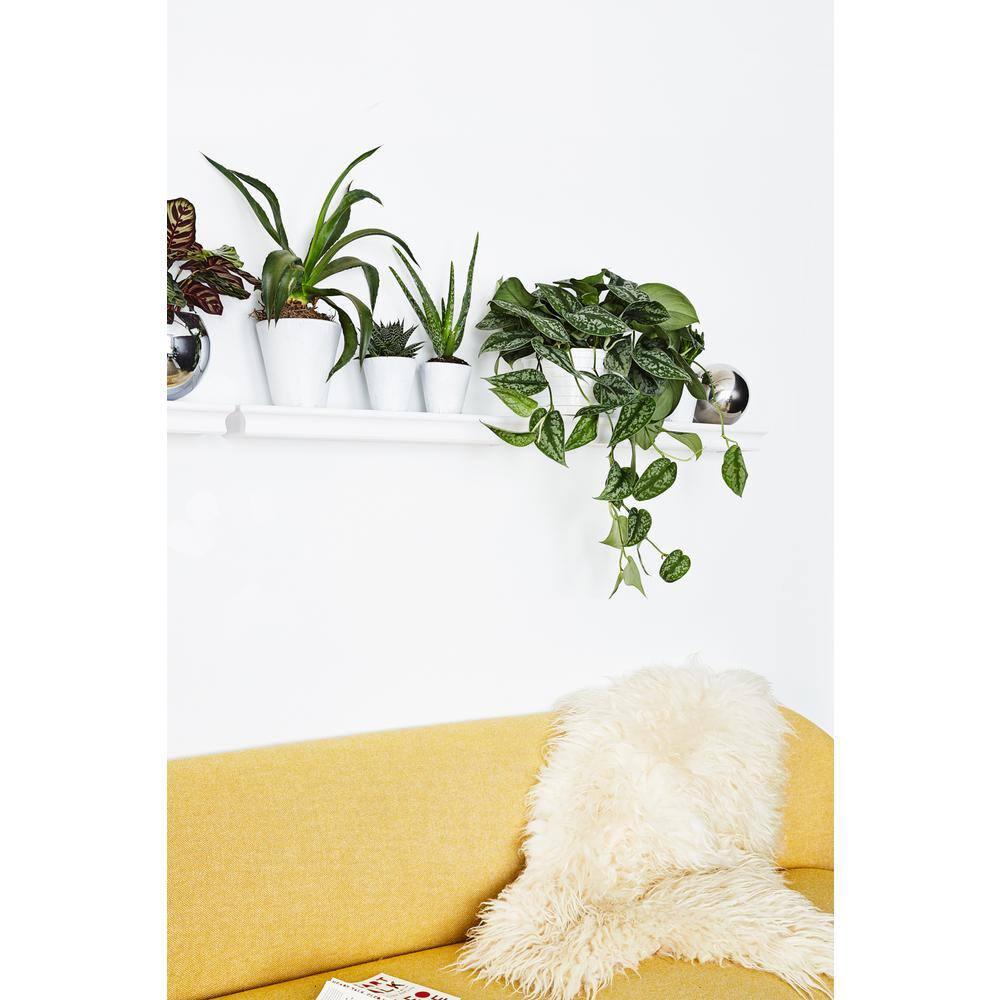 HIGH & MIGHTY Decorative 24" Floating Shelf Holds up to 20lbs, Easy Tool-Free Dry Wall Installation, Beveled, eCommerce Packaging, White