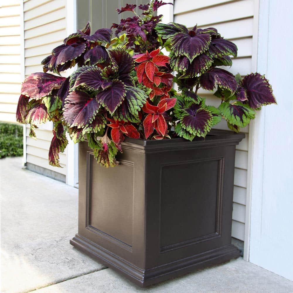Mayne Fairfield 20" x 20" x 20" Square Espresso Self-Watering Polyethylene Planter