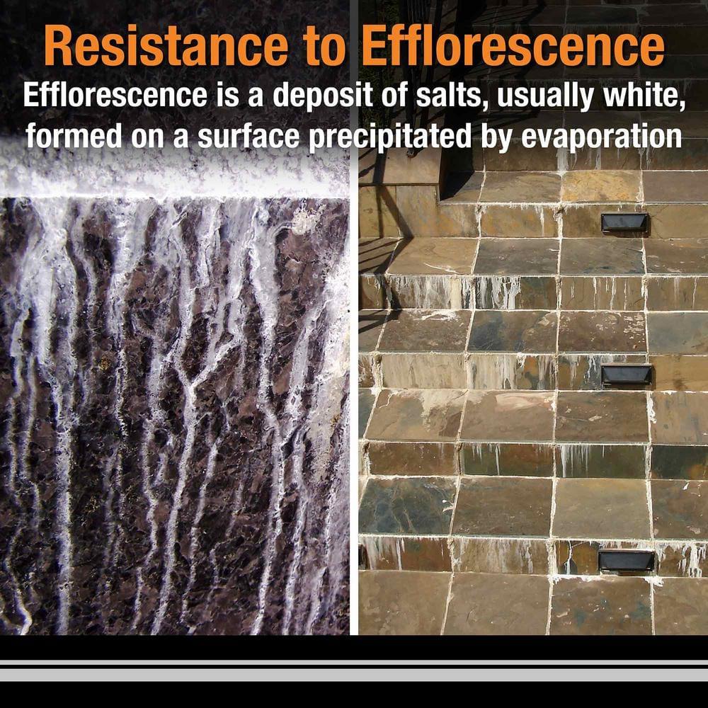 10 lbs Polyblend Plus Indoor & Outdoor Arctic Non-Sanded Grout, White