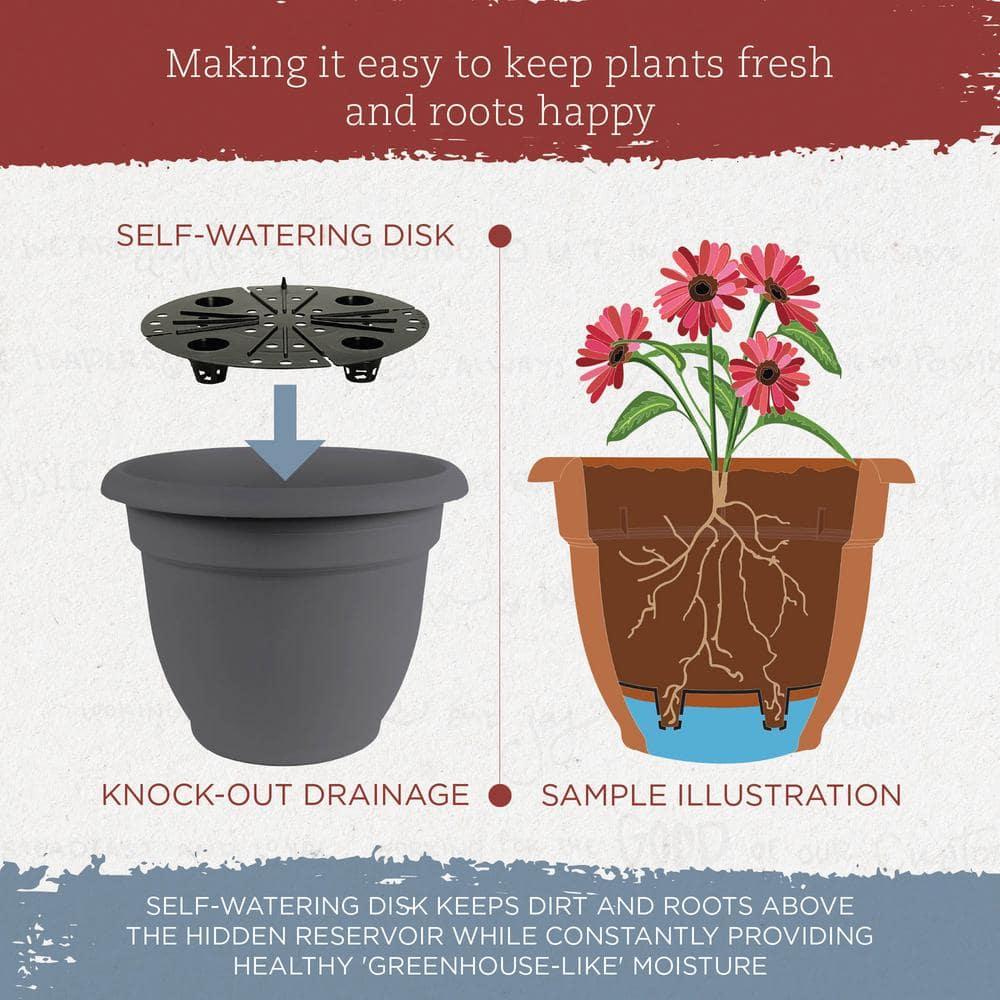 Bloem Ariana 12 in. D Polyresin Planter Charcoal