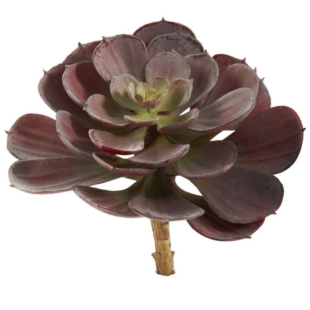 Nearly Natural 6 Echeveria Succulent - Set of 12 Burgundy