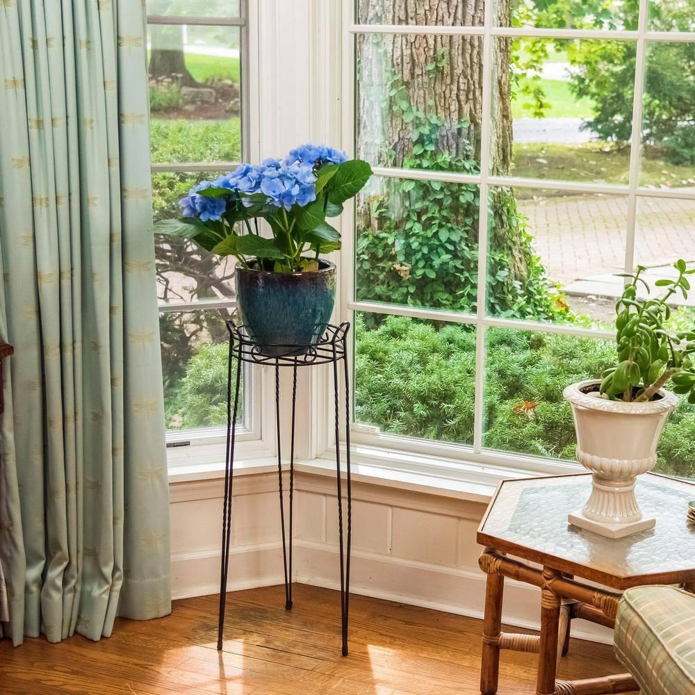 CobraCo SCBPS1030-B 30 in. Canterbury Scroll Top Plant Stand - Black