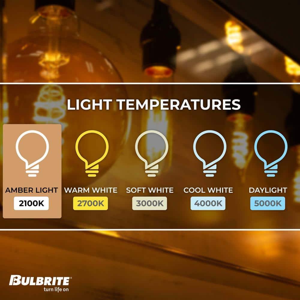 Oversized G63 Clear LED Edison Bulb, 60 Watt Equivalent, E26 Dimmable 2200K